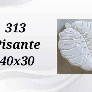 FORMA REF 313  PISANTE 40X30