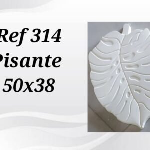 FORMA REF 314  PISANTE  50X38