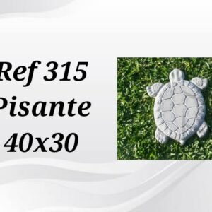 FORMA REF 315  PISANTE  40X30
